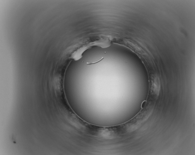 X0000113210616200909171535