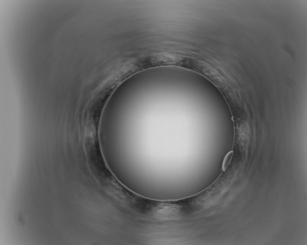 X0000113210617200909171535