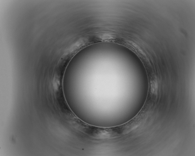 X0000113210618200909171535