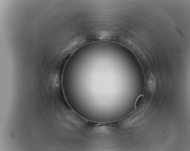 X0000113210620200909171535