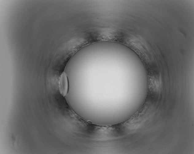 X0000113210621200909171535