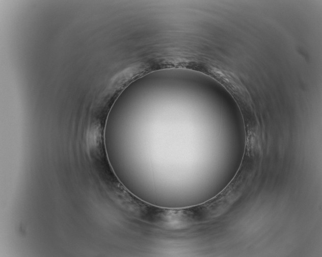 X0000113210623200909171535