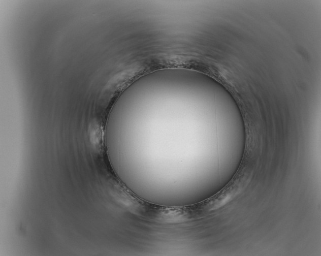 X0000113210624200909171535