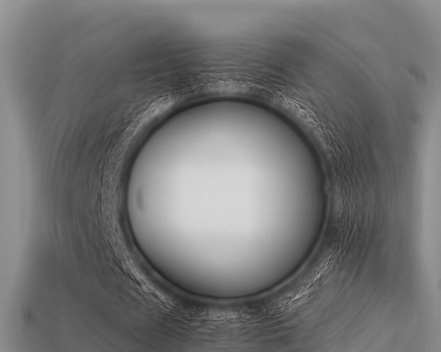 X0000113210625200909171535