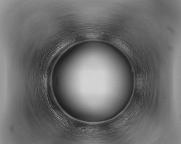 X0000113210626200909171535