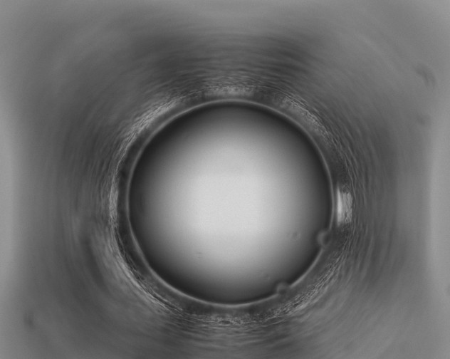 X0000113210627200909171535