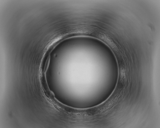 X0000113210628200909171535