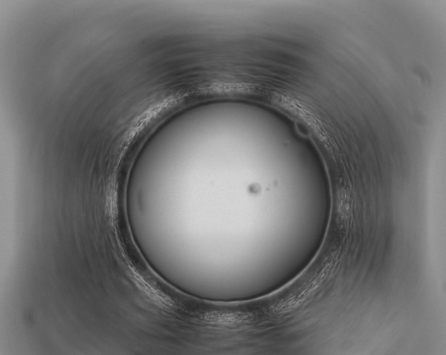 X0000113210629200909171535