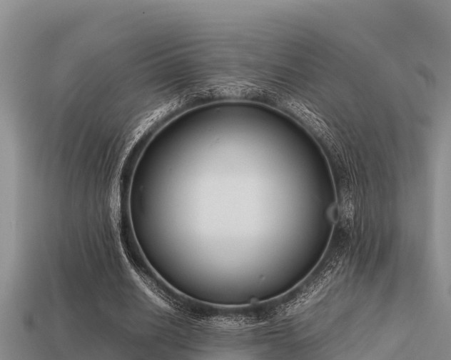 X0000113210630200909171535