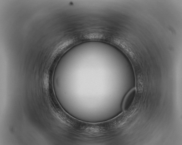 X0000113210631200909171535