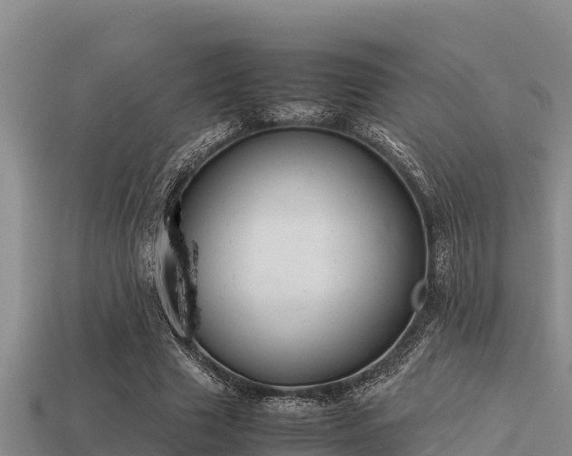 X0000113210633200909171535