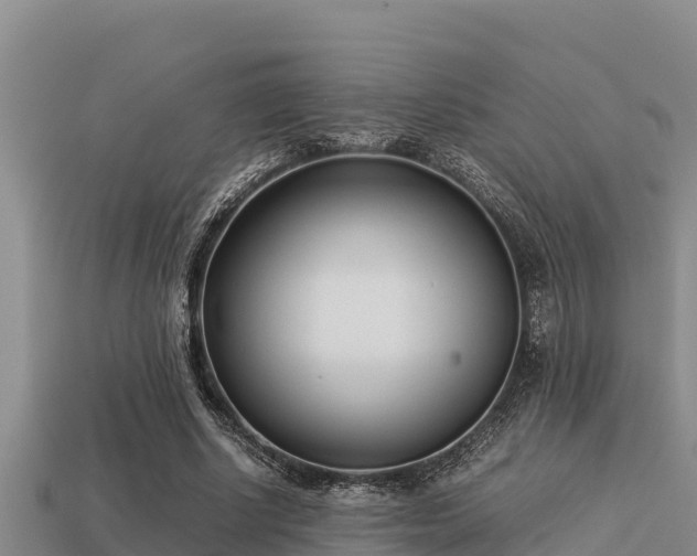 X0000113210634200909171535