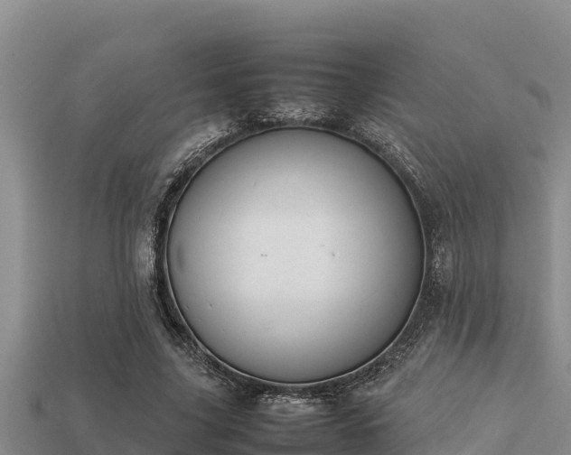 X0000113210635200909171535