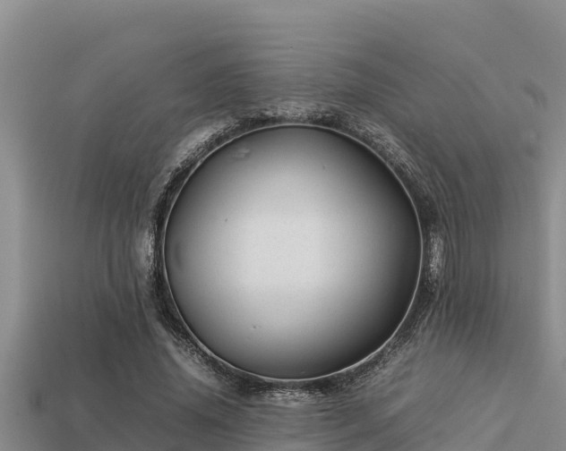 X0000113210636200909171535