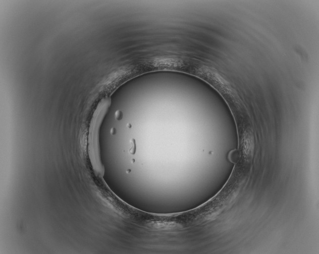 X0000113210637200909171535