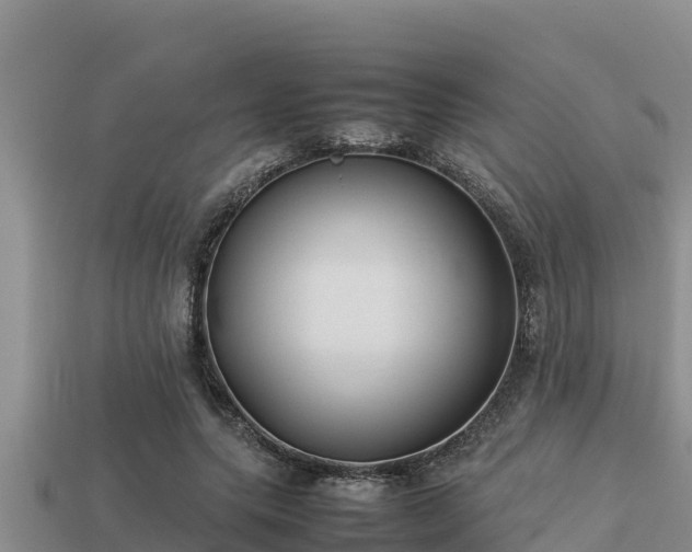 X0000113210639200909171535