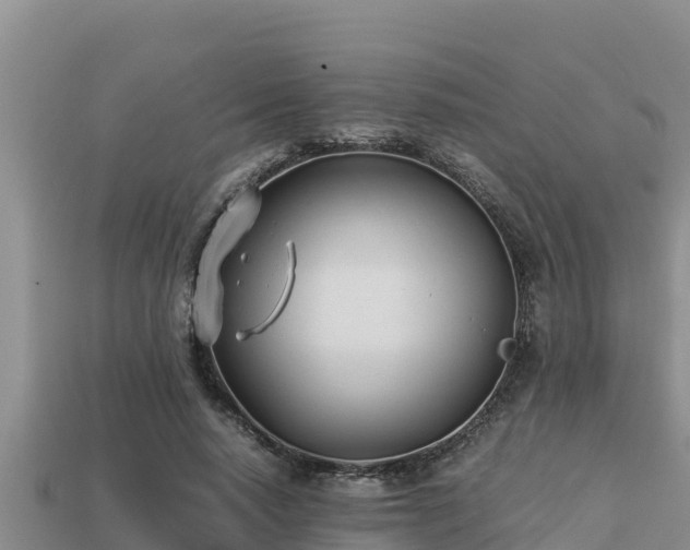 X0000113210640200909171535