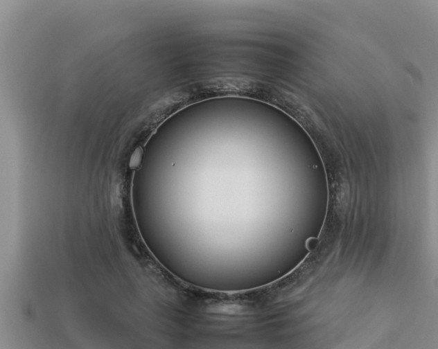 X0000113210643200909171535