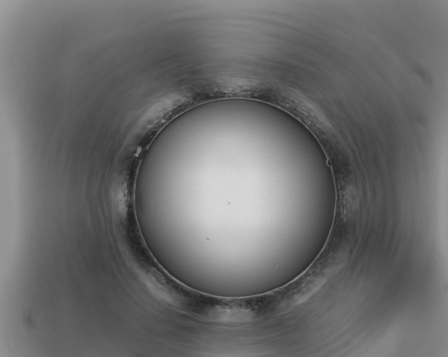 X0000113210644200909171535