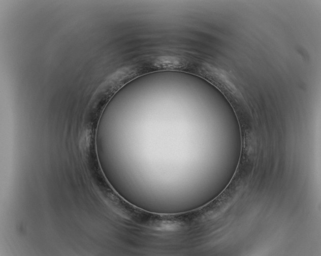 X0000113210645200909171535