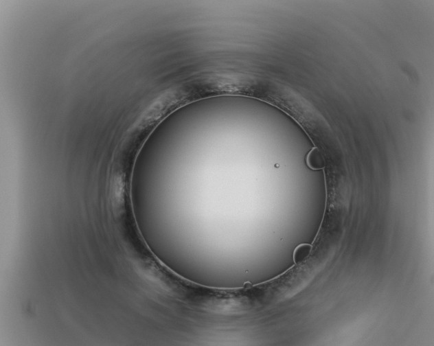 X0000113210646200909171535