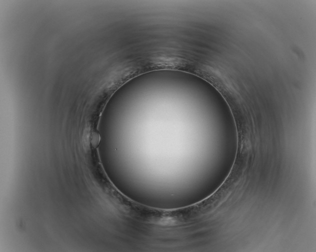 X0000113210647200909171535