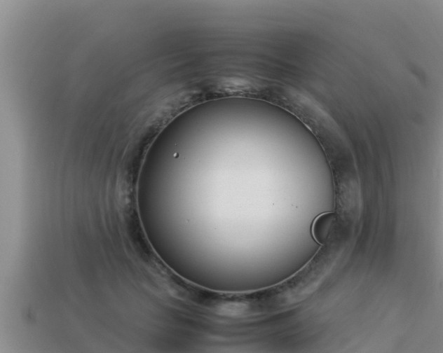 X0000113210653200909171535