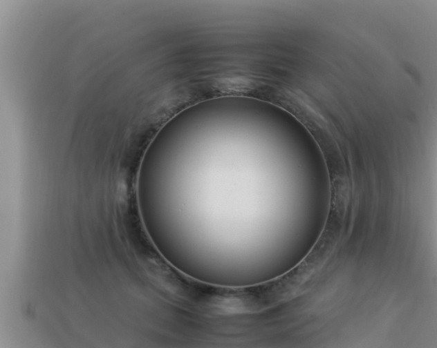 X0000113210655200909171535