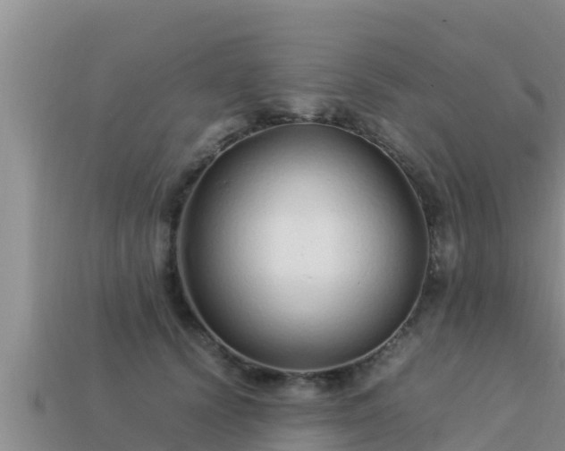 X0000113210656200909171535