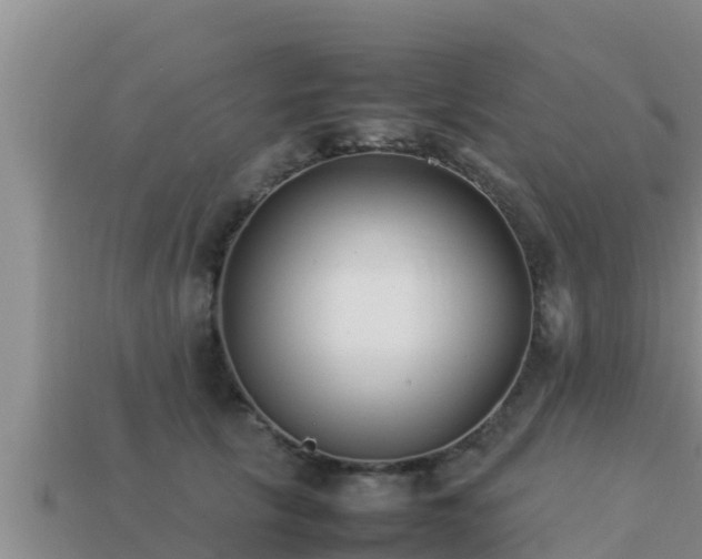 X0000113210657200909171535