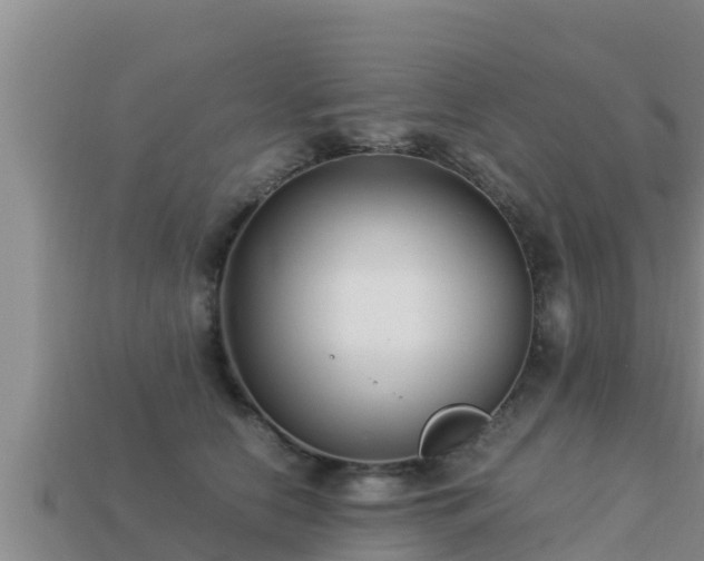 X0000113210658200909171535