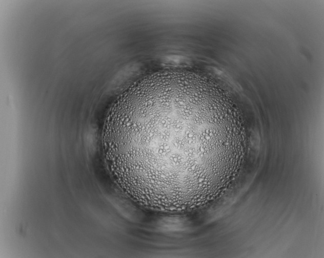 X0000113210659200909171535