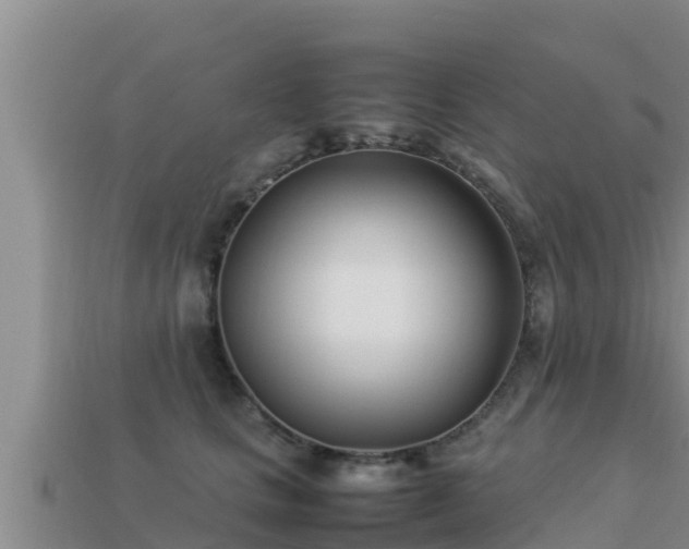 X0000113210661200909171535