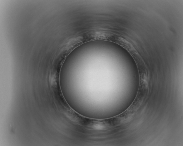 X0000113210663200909171535