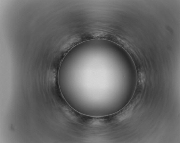 X0000113210664200909171535