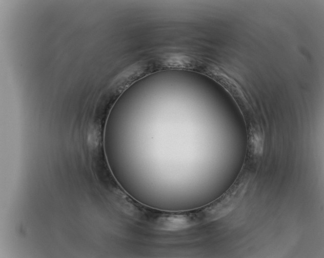 X0000113210665200909171535