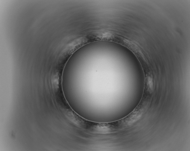 X0000113210668200909171535