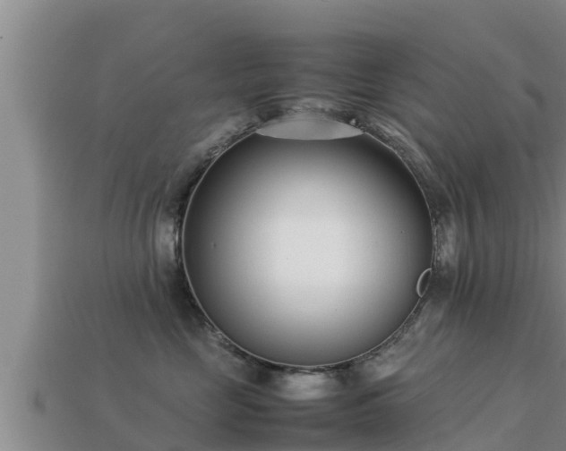 X0000113210669200909171535