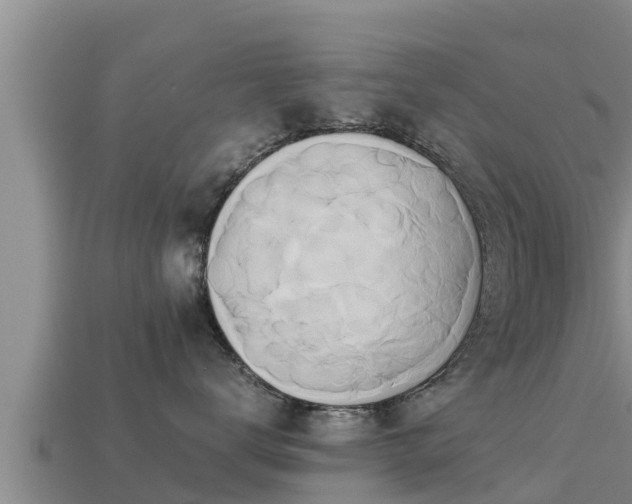 X0000113210672200909171535