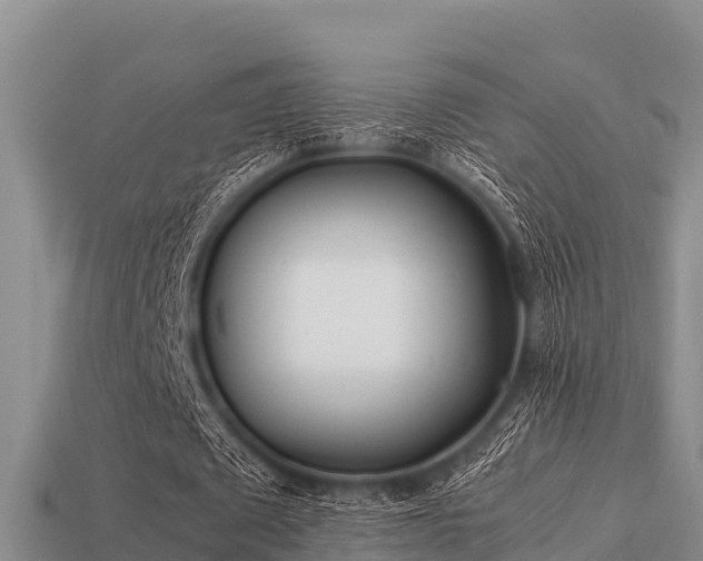 X0000113210673200909171535