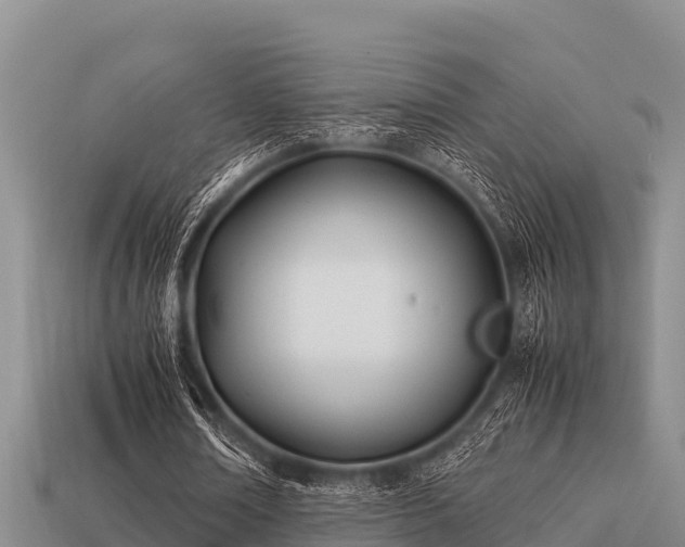 X0000113210674200909171535