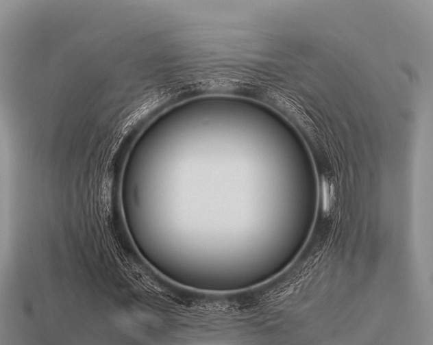 X0000113210675200909171535