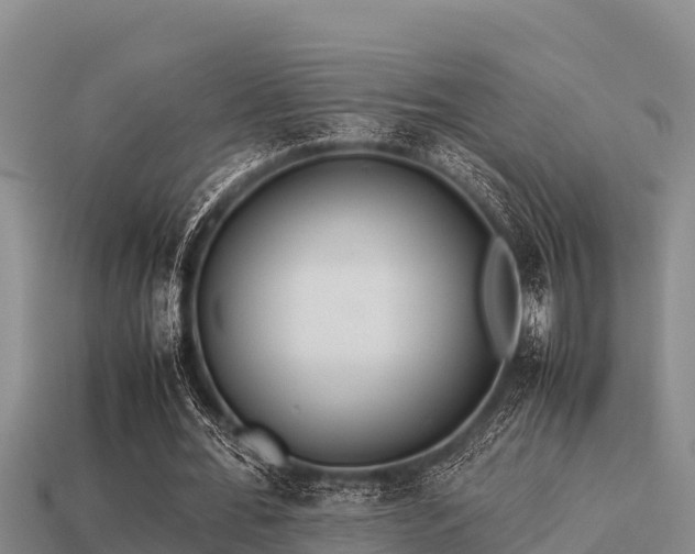 X0000113210676200909171535