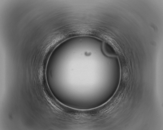 X0000113210677200909171535