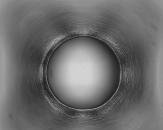 X0000113210678200909171535