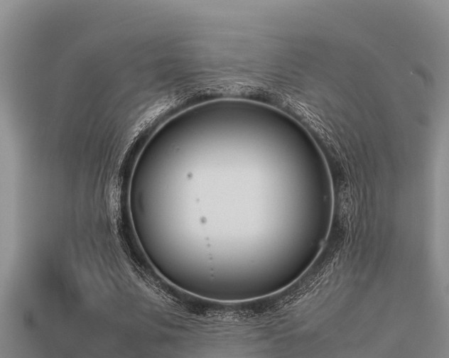 X0000113210679200909171535