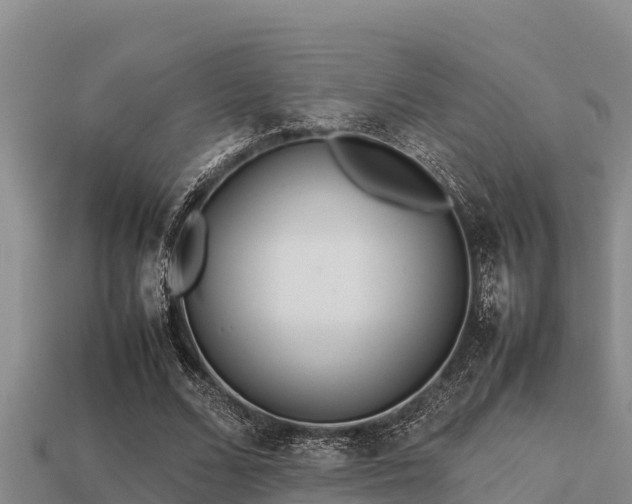 X0000113210680200909171535