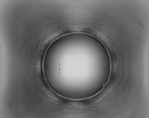 X0000113210681200909171535