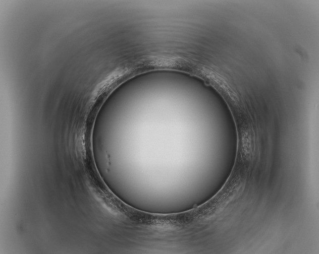 X0000113210682200909171535