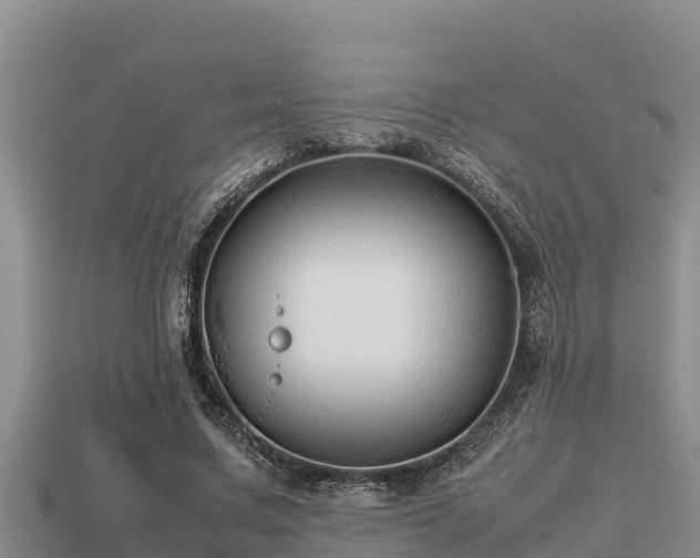 X0000113210683200909171535